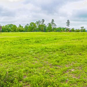 DJI_20240809102039_0012_D