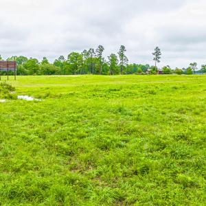 DJI_20240809102057_0014_D