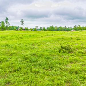 DJI_20240809102054_0013_D