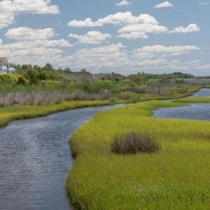 Summerhouse 06-01-23