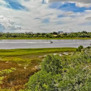 3534 Bocage St - 40 ft elevation