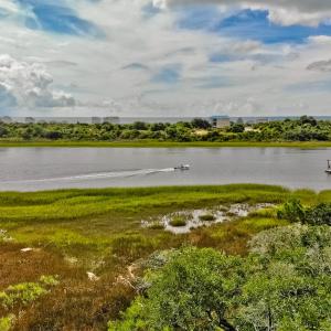 3534 Bocage St - 35 ft elevation