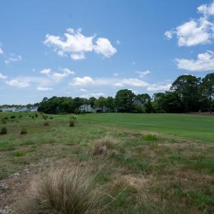 4222TanagerCt-14