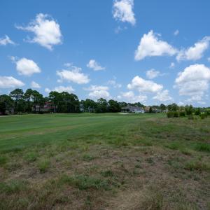 4222TanagerCt-13