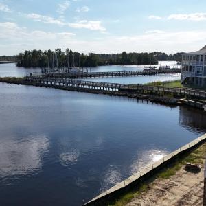 View from Lot 6