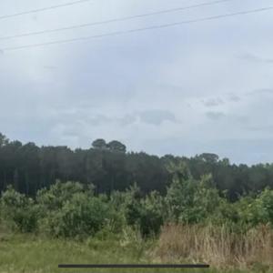 5) 47761-66bf6f596318d