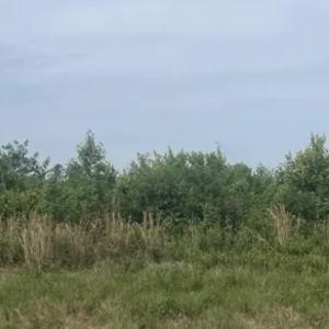 4) 47761-66bf6f5965e66