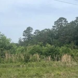 1) 47761-66bf6f5967561