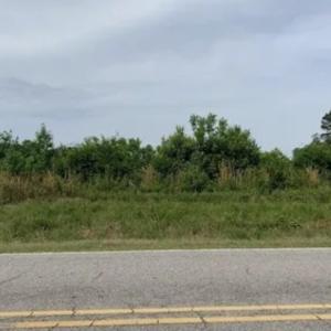 2) 47761-66bf6f50eb77b