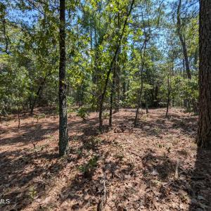 PXL_20240815_170821368