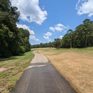 PXL_20240815_171608225