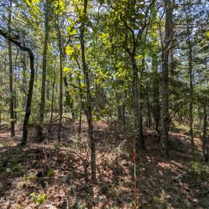 PXL_20240815_170925848