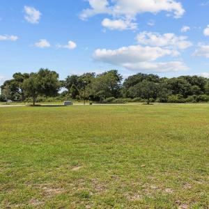 5-web-or-mls-1S3A1581