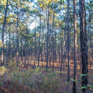 Screen Shot 2023-04-01 at 11.44.03 PM