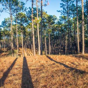 Screen Shot 2023-04-01 at 11.43.49 PM