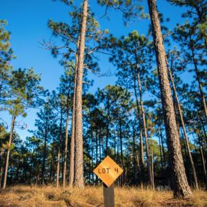 Screen Shot 2023-04-01 at 11.43.33 PM