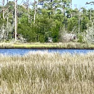 Marsh and creek