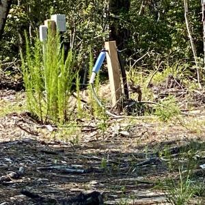 Well drilled and water on site