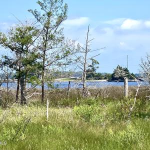 View to Williston Creek