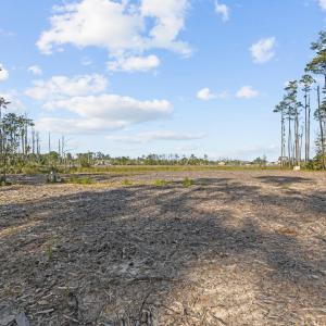 Cleared acreage
