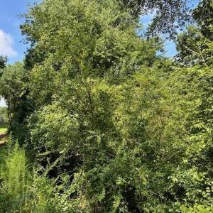 703145FE-E88C-42C3-A109-8FC6F2AB0B83