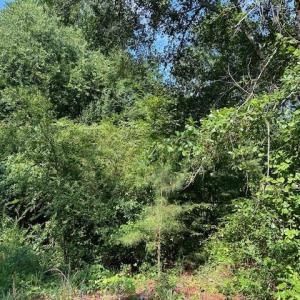 686E768E-583D-45B8-8AF3-EF1B4254C0B8