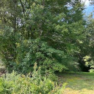 AE5A675A-33DC-45A8-9CBB-24F0B070E20A