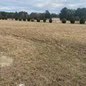 20230112160239109270000000-o