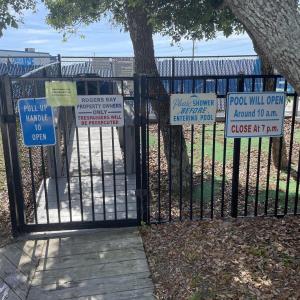 Entrance Pool