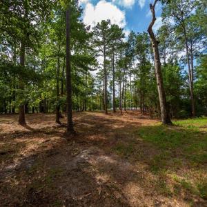 Forestry Mulched & Ready to Build