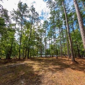 Recently Renewed 5-Year Septic Permit