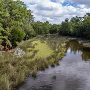 Commune With Nature