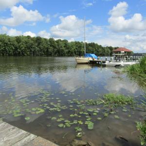 008 View of the Roanoke River