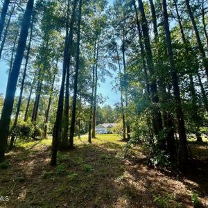 Lot 37 listing (4)