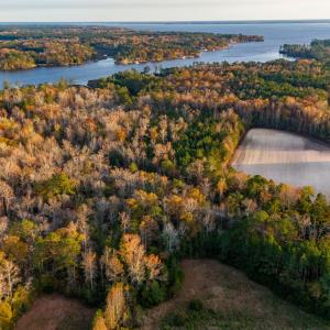 Chill Photo Aerials-20