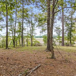 469 Deep Water  Dr SE (2)