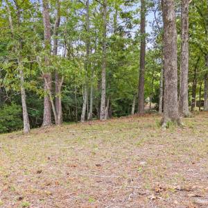 469 Deep Water  Dr SE (6)