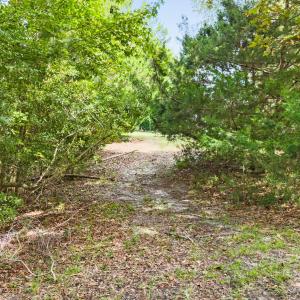 469 Deep Water  Dr SE (11)