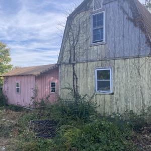Photo 29