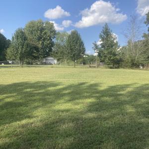 Photo 31
