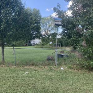 Photo 36