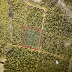 Lot 231 in 1st picture outlined in Red