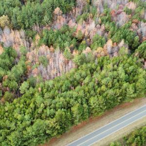 dji fly optimized