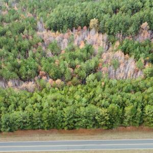 dji fly photo optimized