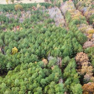 dji fly202optimized