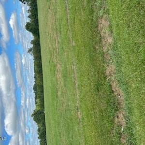 land