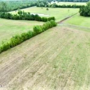 dji_fly_20240914_110924_225_172632762453