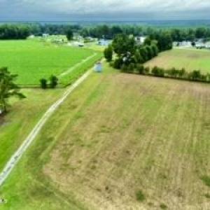 dji_fly_20240914_110152_217_172632775769