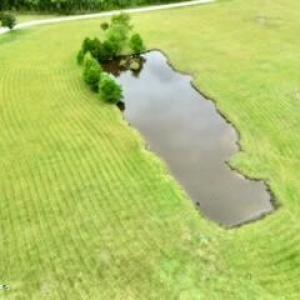 dji_fly_20240914_110026_214_172632784529