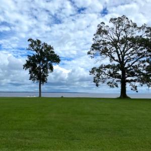 Ground Level Road View of Lot 14-Ph. 1 L
